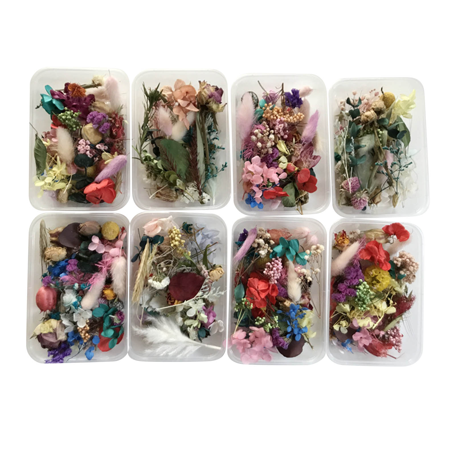 Dried Herbs - Kit Bunga Kering Alami Karya Seni