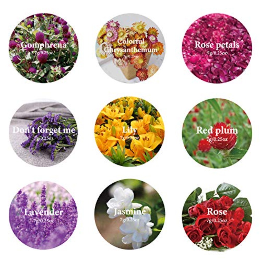 9 Kantong Bunga Kering, 100% B - Dried Herbs ulasan dan harga