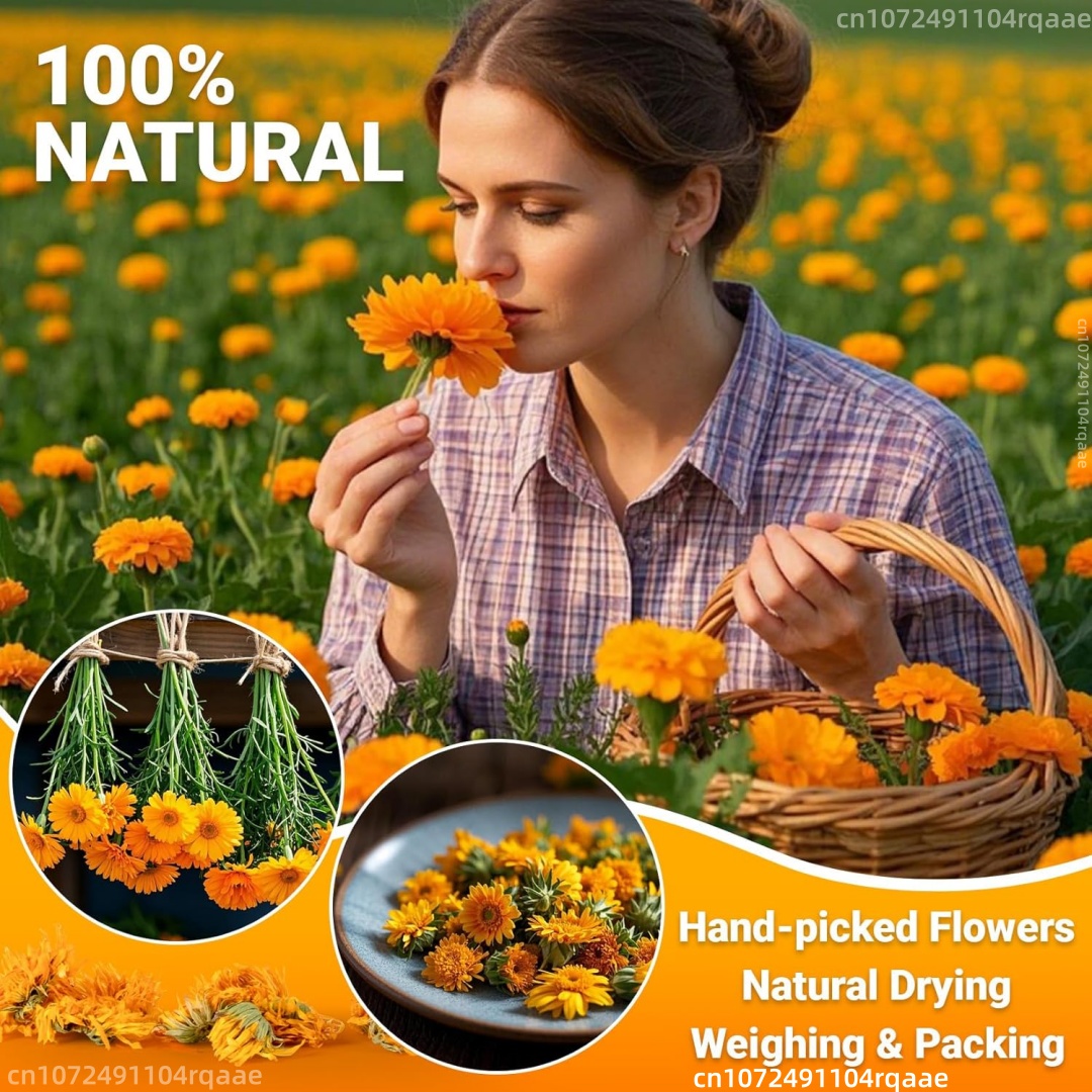 Bunga Marigold Kering Alami (C - Chamomile Tea ulasan dan harga