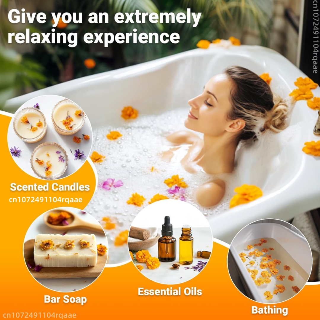 Bunga Marigold Kering Alami (C - Chamomile Tea ulasan dan harga