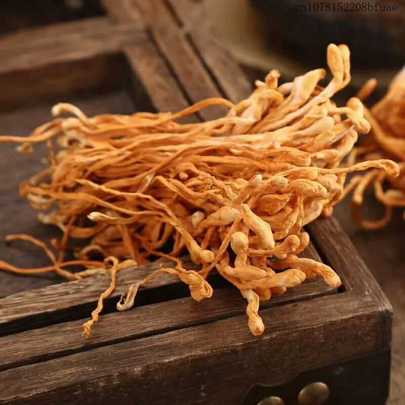 250g/500g Bunga Cordyceps Keri - Chamomile Tea ulasan dan harga