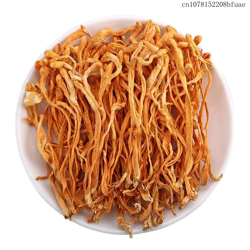 250g/500g Bunga Cordyceps Keri - Chamomile Tea ulasan dan harga