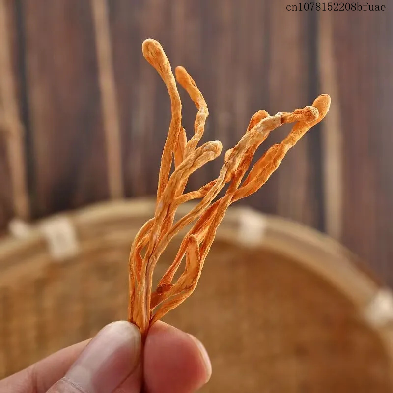 250g/500g Bunga Cordyceps Keri - Chamomile Tea ulasan dan harga