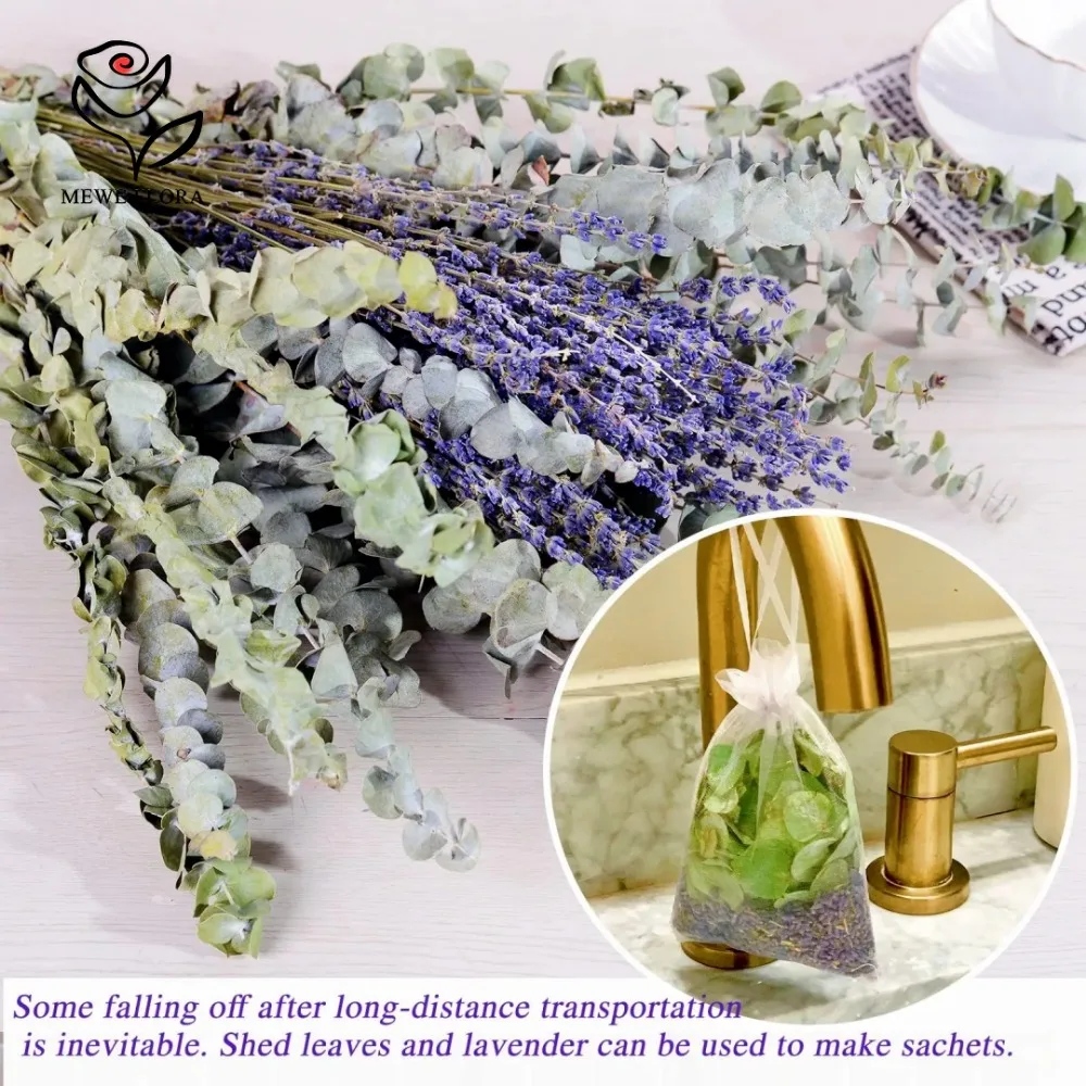 30 buah bunga kering daun euka - Dried Herbs ulasan dan harga