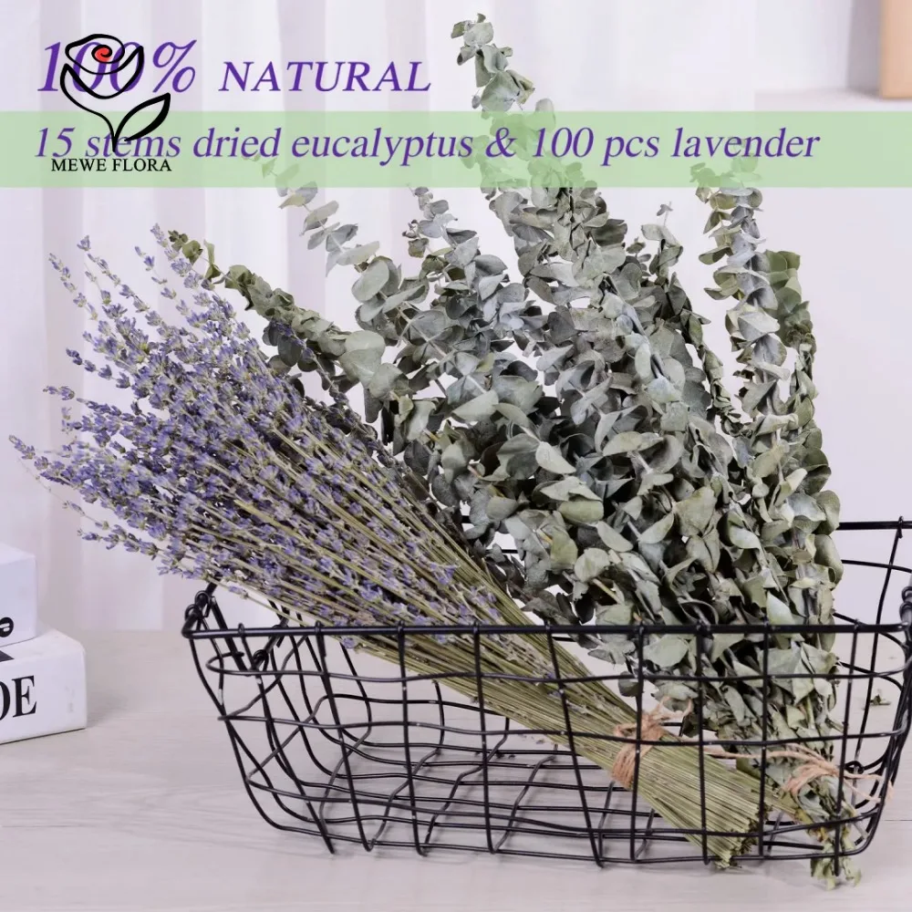 30 buah bunga kering daun euka - Dried Herbs ulasan dan harga