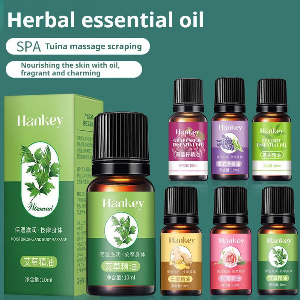 10ml Minyak Pijat Tubuh dari B - Lavender Oil ulasan dan harga